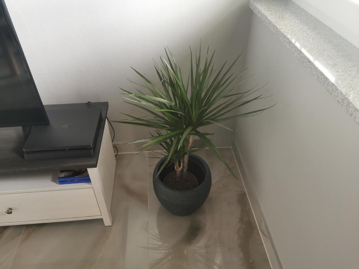 Apartment Luki Povile Bagian luar foto